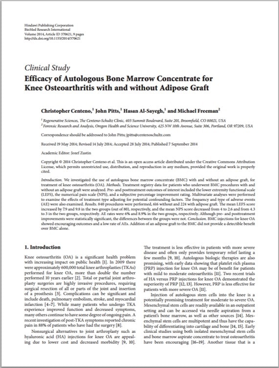 Knee Injury Research Paper
