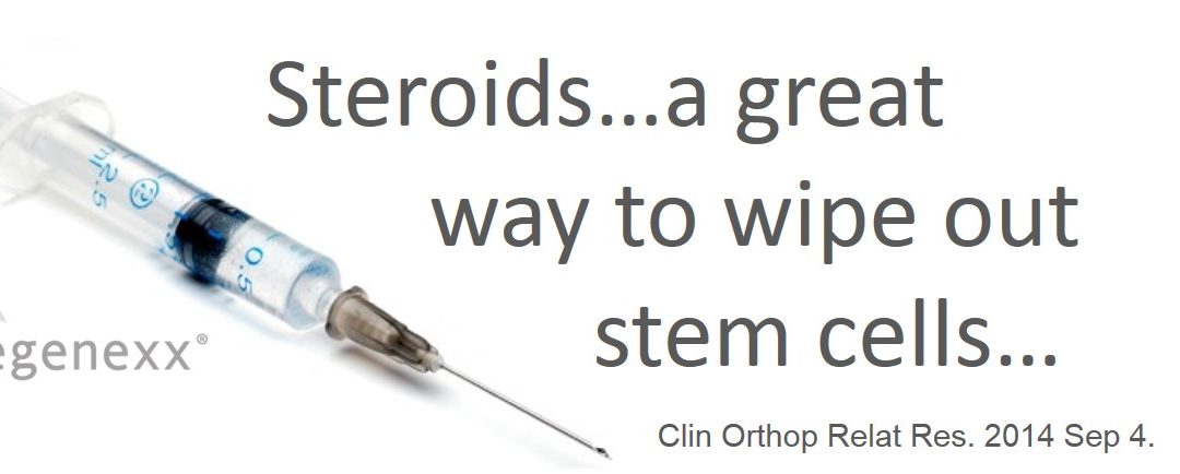 New Research: Steroids Hammer Stem Cells!