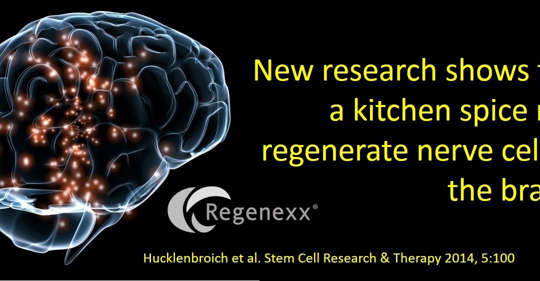 Turmeric Compound Found to Regenerate Nerve Stem Cells