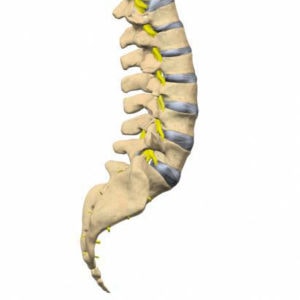 Lumbar Spine Pain