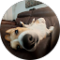 Gutz Avatar